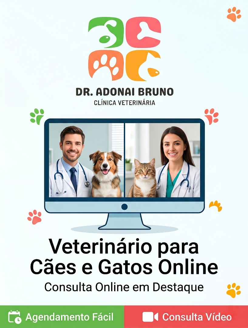 Veterinário para Cães e Gatos